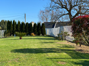 Photo de galerie - Tonte de pelouse et nettoyage des bordures