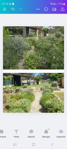 Photo de galerie - Remise en état de plusieurs massifs,
taille, désherbage 