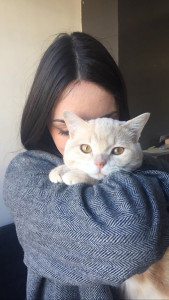 Photo de galerie - Garde chat