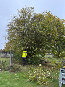 Photo de galerie - Avent 