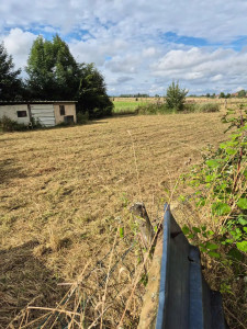 Photo de galerie - Tonte de pelouse - Débroussaillage