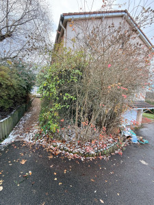 Photo de galerie - Taille 