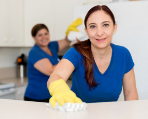 Photo de galerie - Entretien du domicile