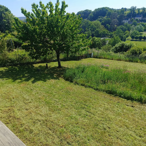 Photo de galerie - Tonte mise au propre de terrain 