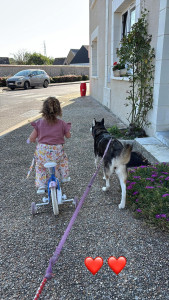 Photo de galerie - .