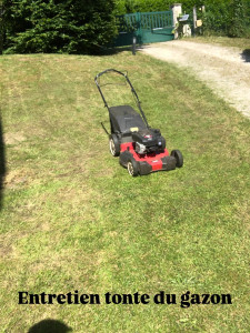 Photo de galerie - Tonte d’une pelouse de 3400 m².
