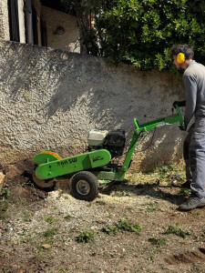 Photo de galerie - Rognage de souches.