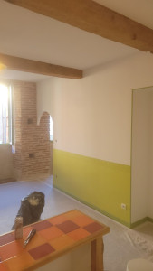 Photo de galerie - Travaux de peinture effectuer 