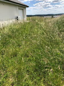 Photo de galerie - Tonte de pelouse - Débroussaillage
