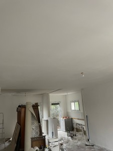 Photo de galerie - Réalisation enduit bande à placo et peinture plafond 