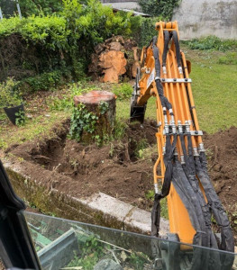 Photo de galerie - Dessouchage à  la pelle après un abbatage délicat.