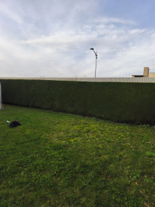 Photo de galerie - Hii client satisfait ???