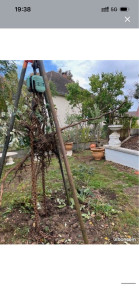 Photo de galerie - Bonjour je suis disponible pour faire votre Elagage ou coupe d’arbres