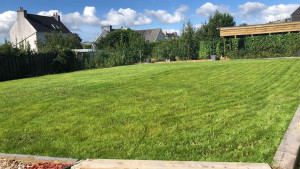 Photo de galerie - Tonte de jardin