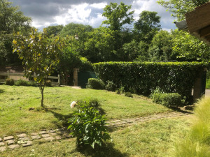 Photo de galerie - Tonte de pelouse et débroussaillage 