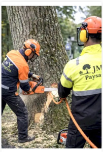 Photo de galerie - élagage 