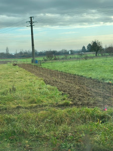 Photo de galerie - Plantation de haie 250m