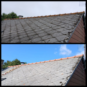 Photo de galerie - Changement de faîtage 