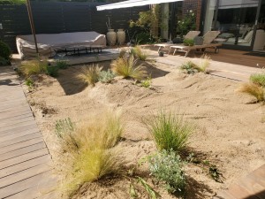 Photo de galerie - Aménagement d'un jardin en sable 