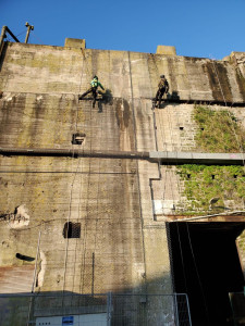 Photo de galerie - Bricolage et multi services