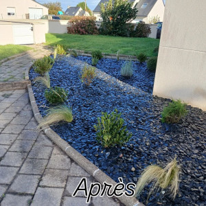 Photo de galerie - Plantation de cheveux d'ange azalée japonaise... Le tout sur un paillage ardoise noir bleuté.