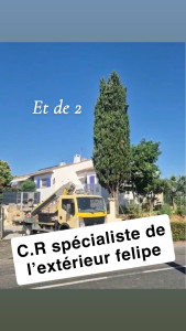 Photo de galerie - étêtage de cyprès d’une hauteur de 16 mètre réduction de 4 mètres 