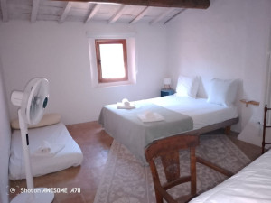Photo de galerie - Chambre 