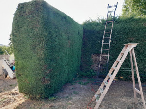Photo de galerie - Jardinier