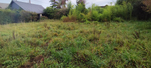 Photo de galerie - Chantier de remise en état
Avant