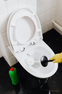 Photo de galerie - Wc 