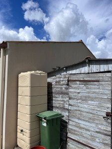 Photo de galerie - Nettoyage façade 