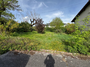 Photo de galerie - Tonte 