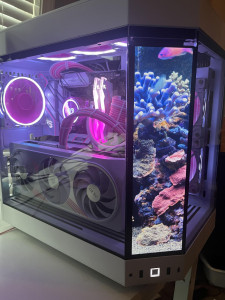 Photo de galerie - PC aquarium imbibé d'eau non minérale