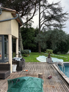 Photo de galerie - Coupe finit