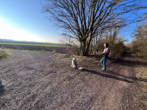 Photo de galerie - Séance d’apprentissage en extérieur 