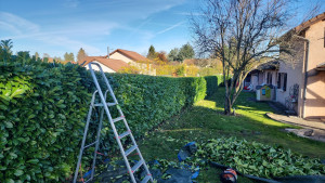 Photo de galerie - Paysagiste - Aménagement du jardin