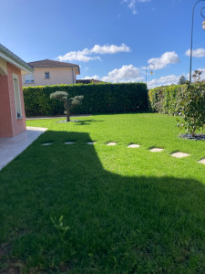 Photo de galerie - Plantation pelouse rustique, plantation d’un Olivier bonsaïs et d’un magnolia 