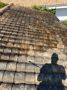 Photo de galerie - Couverture - Toiture