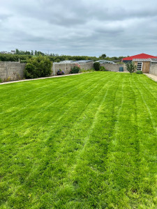 Photo de galerie - Paysagiste - Aménagement du jardin