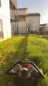 Photo de galerie - Tonte de pelouse 