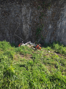 Photo de galerie - Après abbatage 