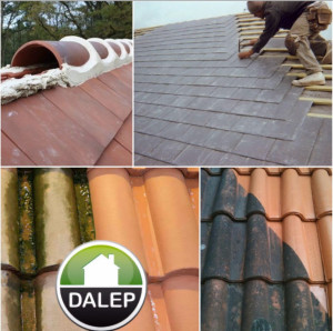 Photo de galerie - Couverture - Toiture