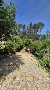 Photo de galerie - APRÈS - remise au propre , jardinage , débroussaillage et taille de haies 