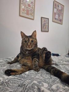 Photo de galerie - Pistache ?