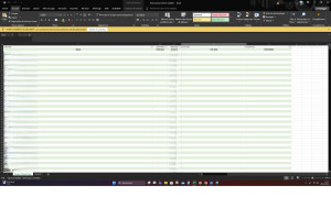 Photo de galerie - Cette photo illustre un travail de saisie et de structuration de données clients sur Excel, avec anonymisation des informations confidentielles.
