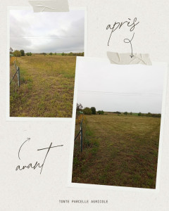 Photo de galerie - Tonte de pelouse - Débroussaillage