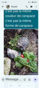 Photo de galerie - Garde animaux