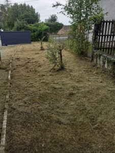 Photo de galerie - Tonte de pelouse - Débroussaillage