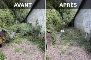 Photo de galerie - Débroussaillage 