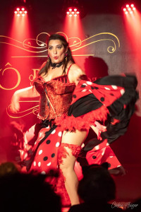 Photo de galerie - Spectacle de flamenco
Cours danse : flamenco, rock, salsa, bachata, cabaret, effeuillage burlesque